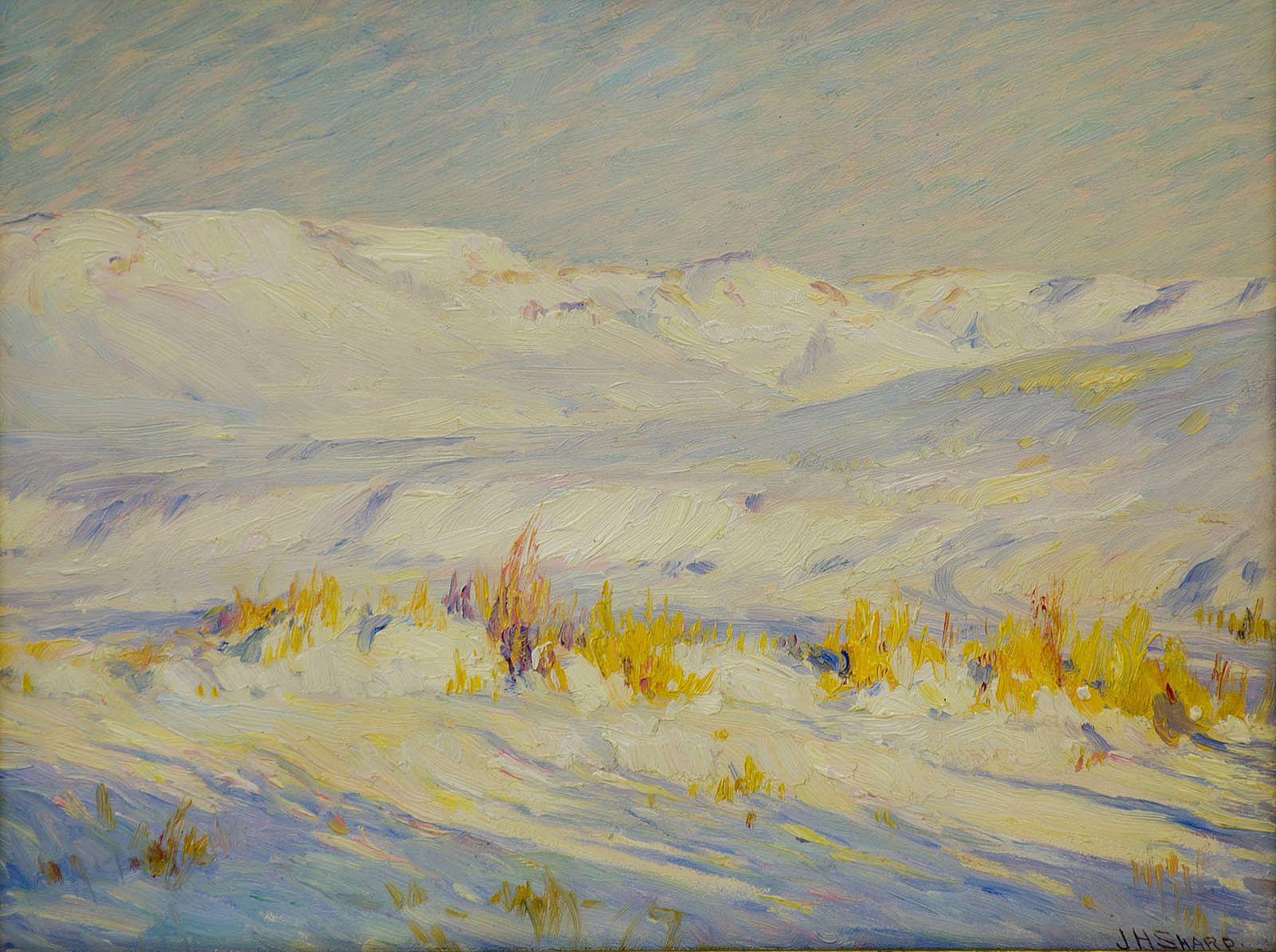 Winter Landscape